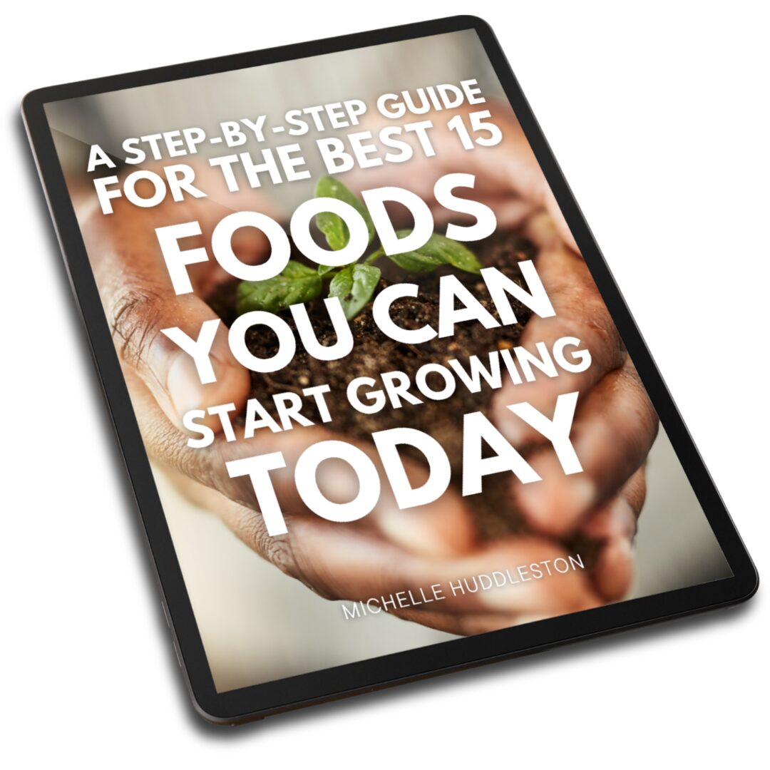 20240622_092234_0000