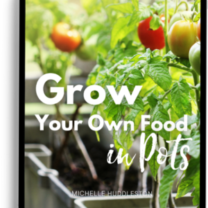 Grow Your Own Food in Pots